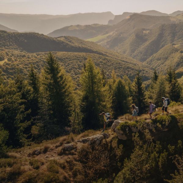 Photo taken by a drone of four hikers in summer clothing in a wooded mountainous area