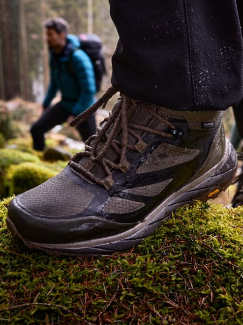 Shoe on the forest floor