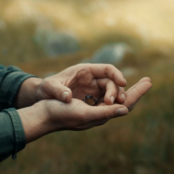 Holding a frog